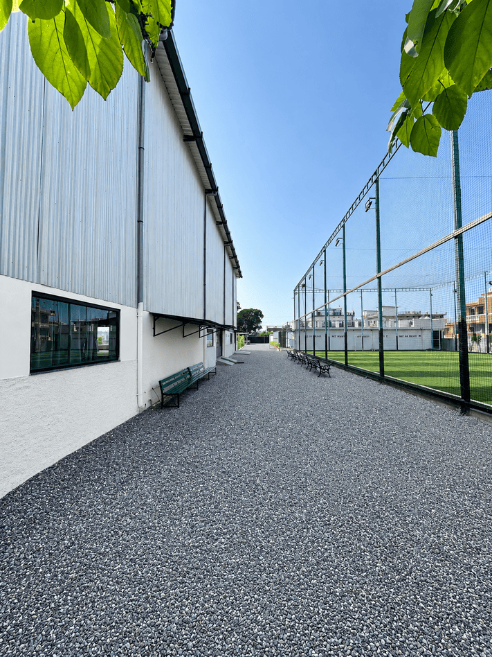 Pathway (1)